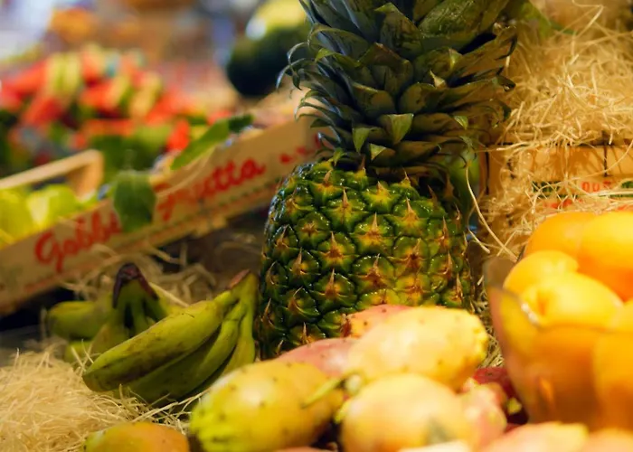 Hotel Colorado Cesenatico