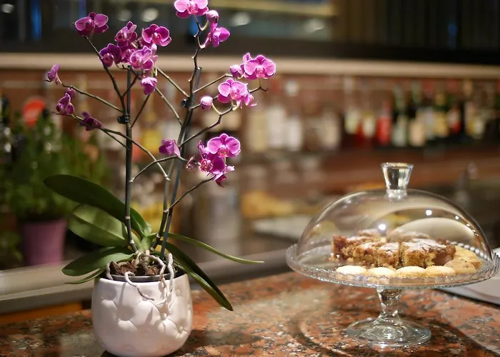 Hotel Colorado 4*