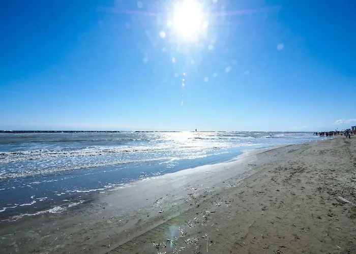 Colorado 切塞纳蒂科