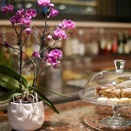 Hotel Colorado 4*